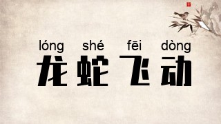龙蛇飞动