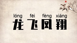 龙飞凤翔