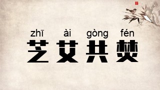 芝艾共焚