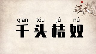 千头桔奴