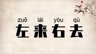 左来右去