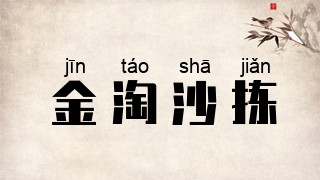 金淘沙拣