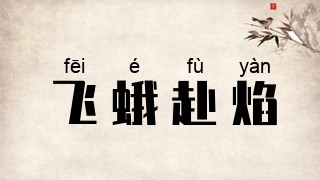 飞蛾赴焰