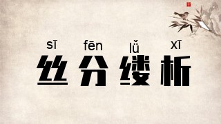 丝分缕析