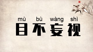 目不妄视