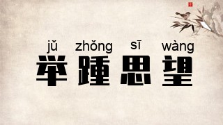 举踵思望