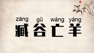 臧谷亡羊