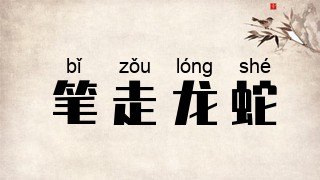 笔走龙蛇