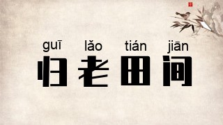 归老田间