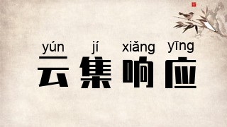 云集响应