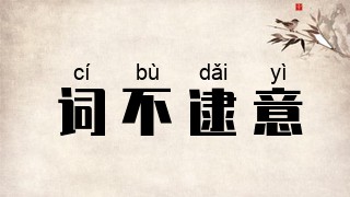 词不逮意