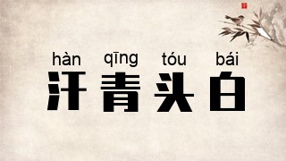 汗青头白