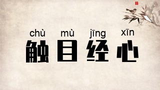 触目经心