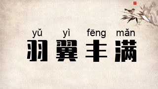羽翼丰满