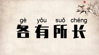 各有所长