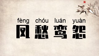 凤愁鸾怨