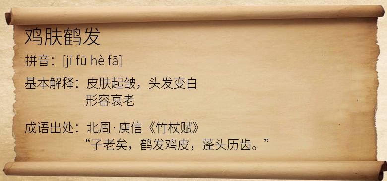 鸡肤鹤发