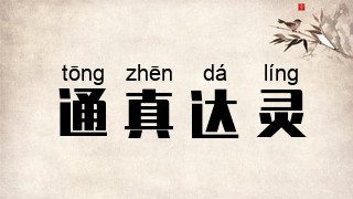 通真达灵