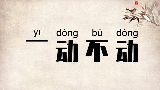 一动不动