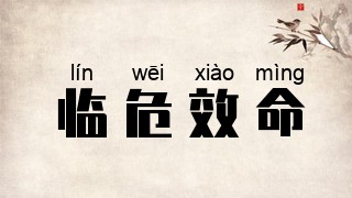 临危效命