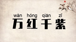 万红千紫