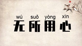 无所用心