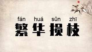 繁华损枝