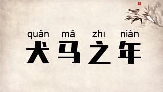 犬马之年