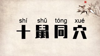 十鼠同穴