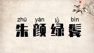 朱颜绿鬓