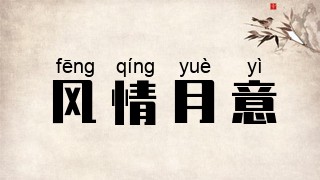 风情月意