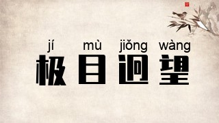 极目迥望