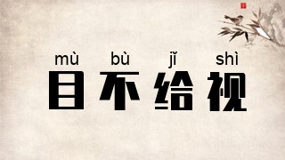 目不给视