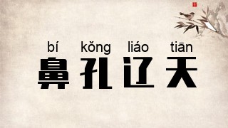 鼻孔辽天