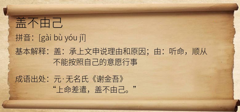 盖不由己