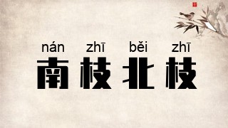 南枝北枝