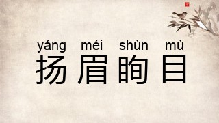 扬眉眴目