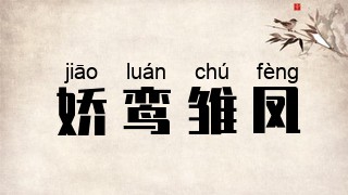 娇鸾雏凤