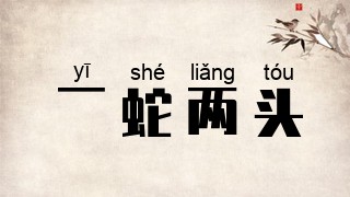 一蛇两头