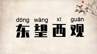 东望西观