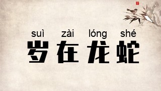 岁在龙蛇