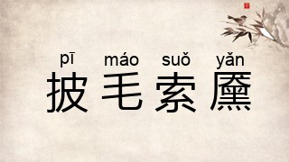披毛索黡
