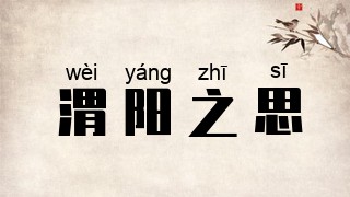 渭阳之思