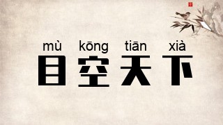 目空天下