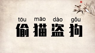 偷猫盗狗