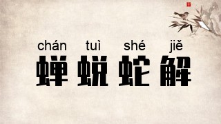蝉蜕蛇解