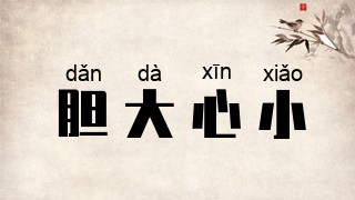 胆大心小