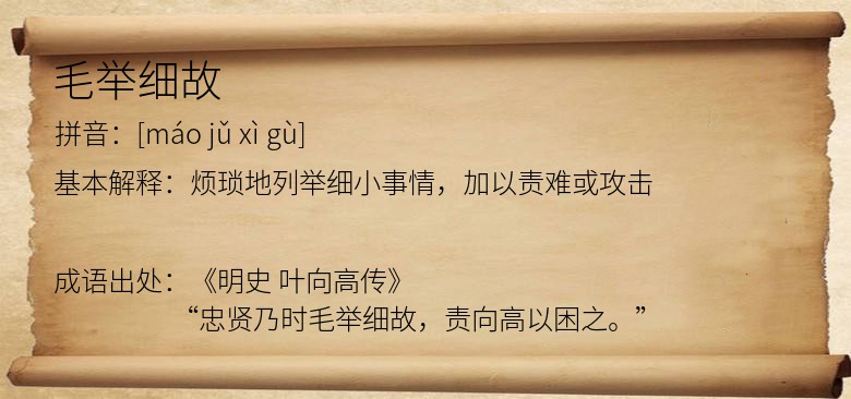 毛举细故