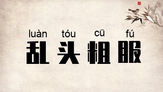乱头粗服
