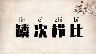 鳞次栉比